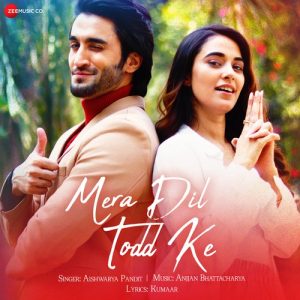 Mera Dil Todd Ke (2020) Album Art