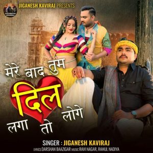 Mere Baad Tum Dil Laga To Loge (2024) Album Art