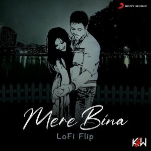 Mere Bina (Lofi Flip) (2021) Album Art