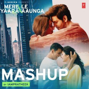 Mere Yaara X Le Aaunga Mashup (2024) Album Art