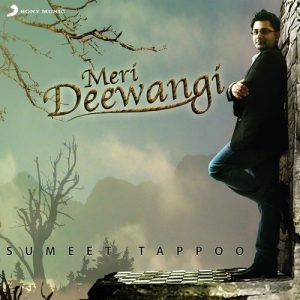 Meri Deewangi (2010) Album Art
