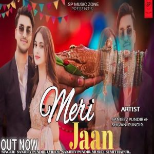 Meri Jaan Album Art