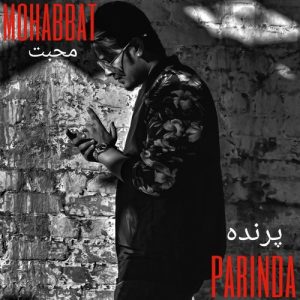 Meri Mohabbat (2020) Album Art