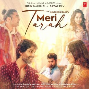 Meri Tarah (2022) Album Art