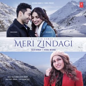 Meri Zindagi (2024) Album Art