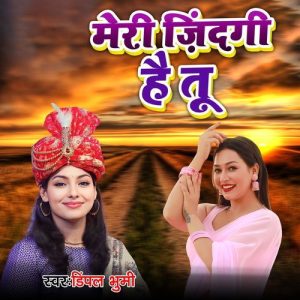 Meri Zindagi Hai Tu (2024) Album Art