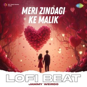 Meri Zindagi Ke Malik Lofi Beat (2024) Album Art