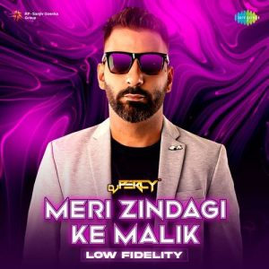 Meri Zindagi Ke Malik – Low Fidelity
