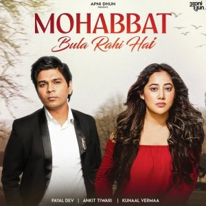 Mohabbat Bula Rahi Hai (2024) Album Art