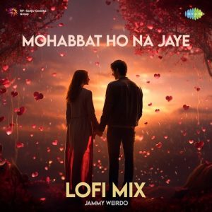 Mohabbat Ho Na Jaye (LoFi Mix) (2024) Album Art