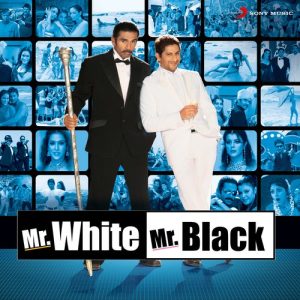Mr. White Mr. Black (2007) Album Art