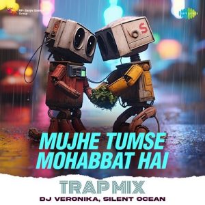 Mujhe Tumse Mohabbat Hai – Trap Mix (2024) Album Art