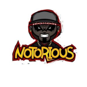 NOTORIOUS (2024) Album Art