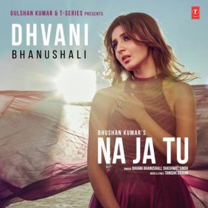 Na Ja Tu (2020) Album Art