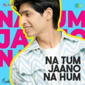 Na Tum Jaano Na Hum (2025) Album Art