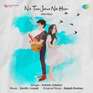 Na Tum Jano Na Hum – ReVibe (2020) Album Art