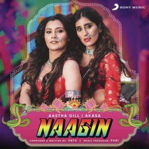 Naagin (2019) Album Art