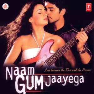 Naam Gum Jaayega (2004) Album Art