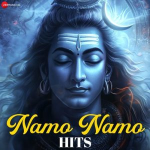 Namo Namo Hits (2025) Album Art