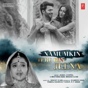 Namumkin Tere Bin Jeena (2020) Album Art