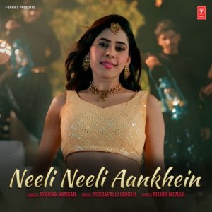 Neeli Neeli Aankhein (2024) Album Art