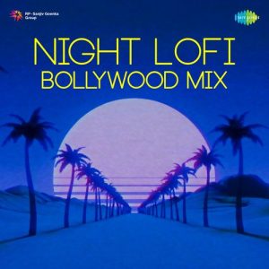 Night Lofi Bollywood Mix (2022) Album Art