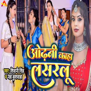 Odhani Kaha Lasarlu (2023) Album Art