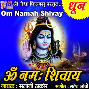 Om Namah Shivay