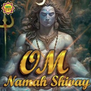 Om Namah Shivay