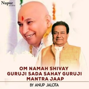 Om Namah Shivay Guruji Sada Sahay Guruji Mantra Jaap (2021) Album Art