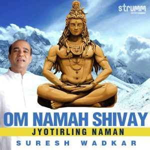 Om Namah Shivay – Jyotirling Naman