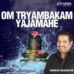 Om Tryambakam Yajamahe (2020) Album Art