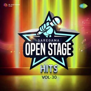 Open Stage Hits – Vol 30 (2024) Album Art