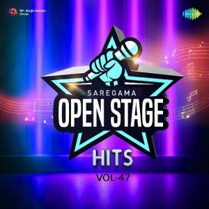 Open Stage Hits – Vol 47 (2024) Album Art