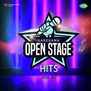 Open Stage Hits – Vol 87 (2024) Album Art