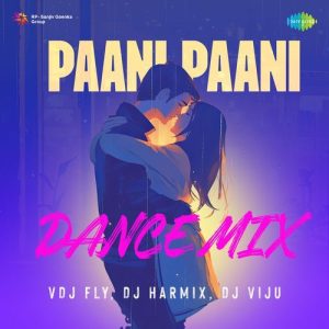 Paani Paani – Dance Mix (2024) Album Art