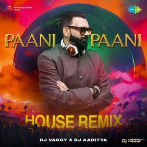 Paani Paani – House Remix (2024) Album Art