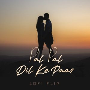 Pal Pal Dil Ke Pass (Lofi Flip)