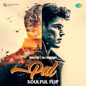 Pal – Soulful Flip (2024) Album Art