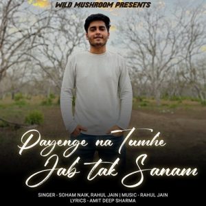 Payenge Na Tumhe Jab Tak Sanam (2023) Album Art