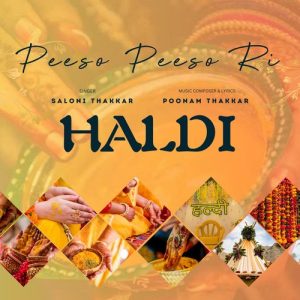 Peeso Peeso Ri (Haldi Wedding Song) (2024) Album Art