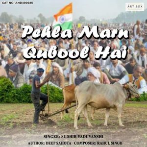 Pehla Marn Qubool Hai (2021) Album Art