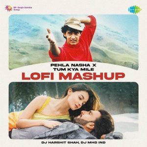 Pehla Nasha x Tum Kya Mile – LoFi Mashup