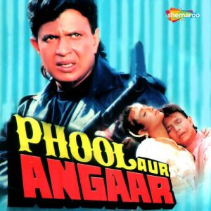 Phool Aur Angaar (1993) Album Art
