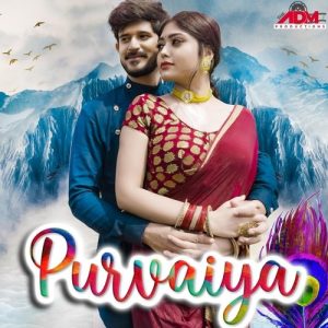 Purvaiya (2021) Album Art