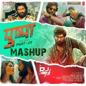 Pushpa The Rise Part – 01 Mashup (2022) Album Art