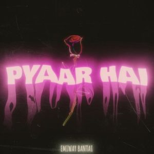 Pyaar Hai (2022) Album Art