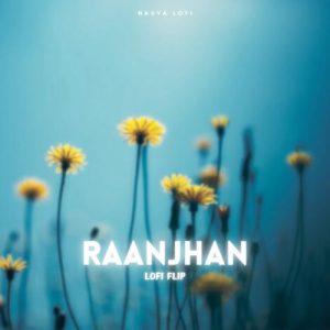Raajhan (Lofi Flip)