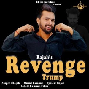 Revenge (2025) Album Art