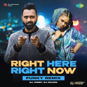 Right Here Right Now – Funky Remix (2024) Album Art